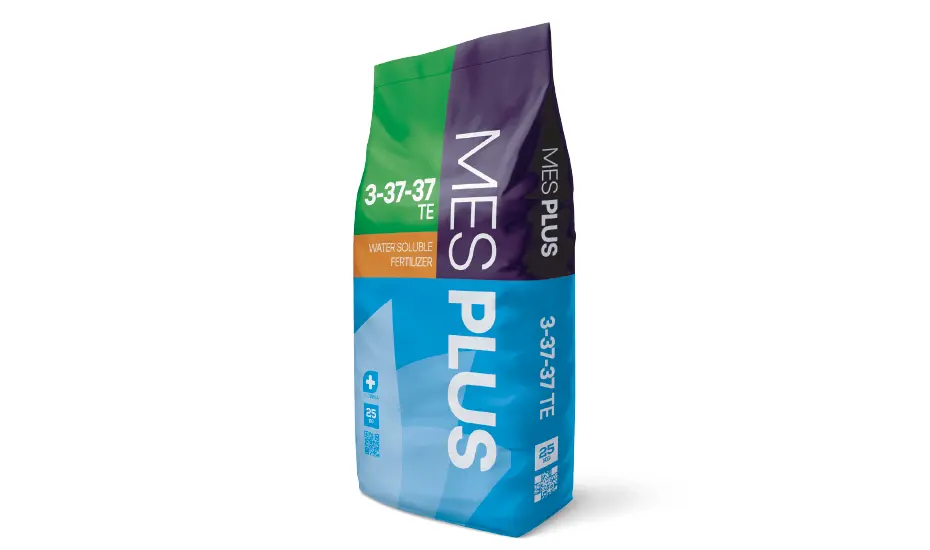 mes-plus-3-37-37-+-te.webp